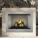 Napoleon Riverside 42" Clean Face Outdoor Gas Fireplace
