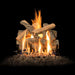 Canyon 18" to 42" Arizona Juniper See Through Vented Gas Log Set with Stainless Steel Burner