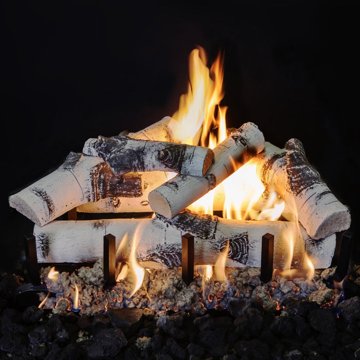 Canyon 18" to 60" Quaking Aspen See Through Vented Gas Log Set with Stainless Steel Burner