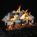 Grand Canyon 18" to 60" Quaking Aspen Vented Gas Log Set with Stainless Steel Burner