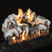 Canyon 18" to 60" Quaking Aspen See Through Vented Gas Log Set with Stainless Steel Burner