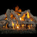 Grand Canyon 18" to 42" Western Driftwood Vented Gas Log Set