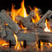 Grand Canyon 18" to 42" Western Driftwood Vented Gas Log Set