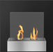 The Bio Flame Pure 24” Wall-Mounted Ethanol Fireplace